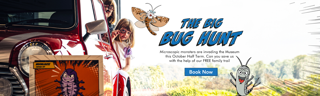 Bug Hunt Book Now